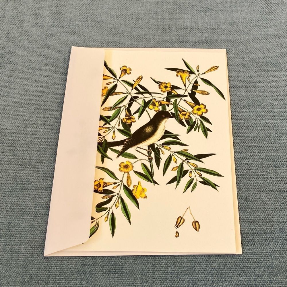 The Blackcap Flycatcher The Colonial Williamsburg Foundation Card